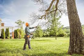 Best Lawn Watering Services  in Newton, AL