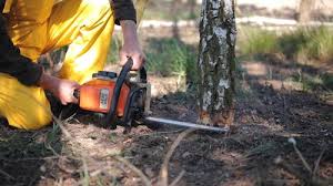 Best Pest Control for Lawns  in Newton, AL