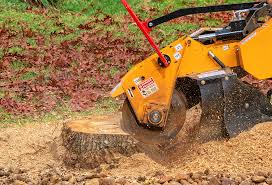 Mulching Services in Newton, AL