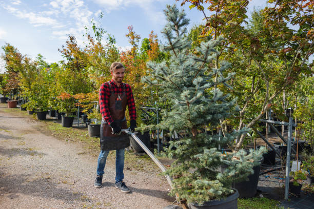 Best Tree Trimming and Pruning  in Newton, AL